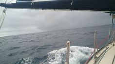 11137121_10152847605102684_3045384619695196746_n