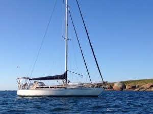 photos from phone Feb 2015 428