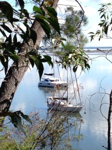 Paseafique in Gary's Anchorage