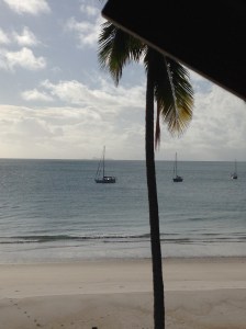 Our anchorage at Middle Percy Island