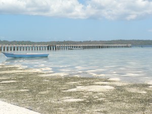 Low tide goes out a looong way