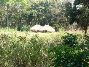 Workers huts inland from North Hading Bay