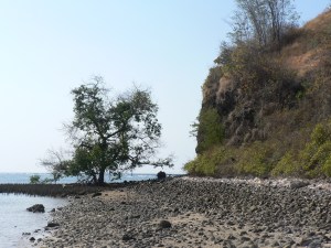 Even on unpopulated islands, there is the collection of rubbish at the high tide line