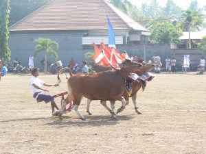 It seemed that one of the judging criteria was form and flair
