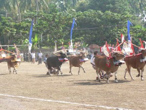 They are off and racing!